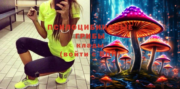 марки nbome Дмитриев