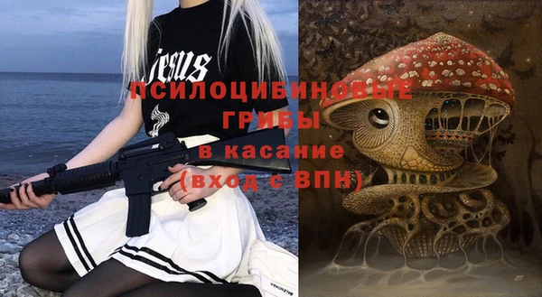 a pvp Дмитровск