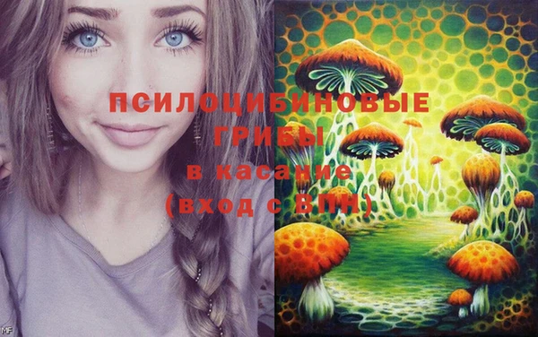 a pvp Дмитровск