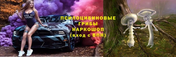 марки nbome Дмитриев
