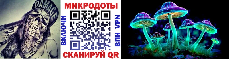 Купить закладки  Оленегорск  Псилоцибиновые грибы Cubensis 