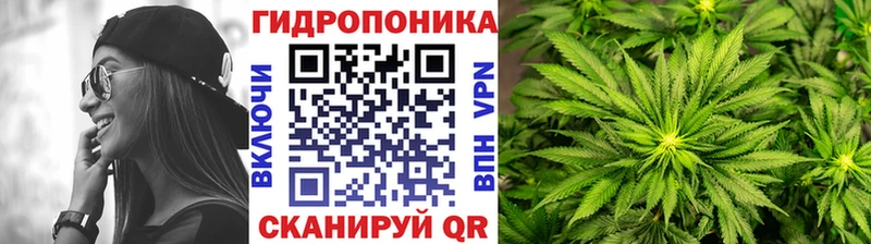 Канабис THC 21%  Купить где  Оленегорск 